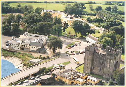 Aerial view of Bunratty Village, Durty Nellys at the bottom of picture.