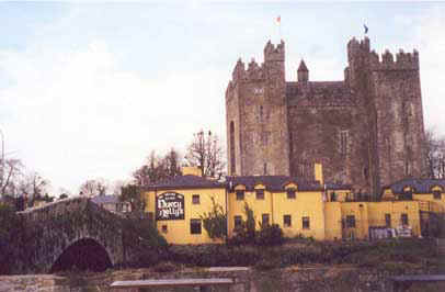 Bunratty Castle and Durty Nellys